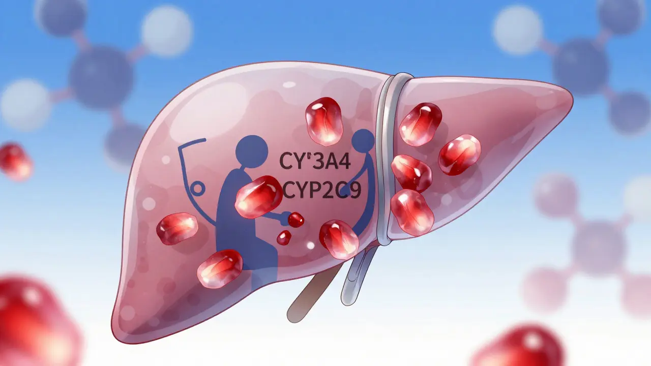 Transparent liver with blocked enzyme molecules
